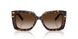 80153B - Tortoise - Brown Gradient