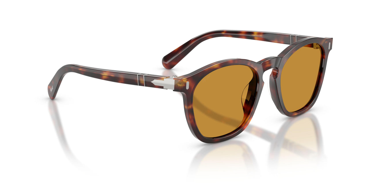 24/53 - Tortoise - Yellow Brown