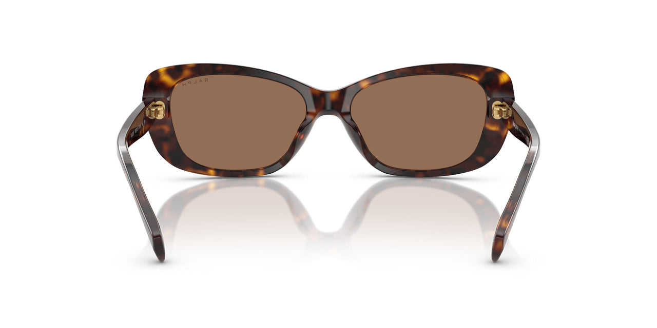 500313 - Tortoise - Brown