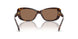 500313 - Tortoise - Brown