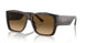 702/M2 - Tortoise - Polarized Brown Gradient