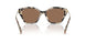 395173 - Tortoise - Brown Solid