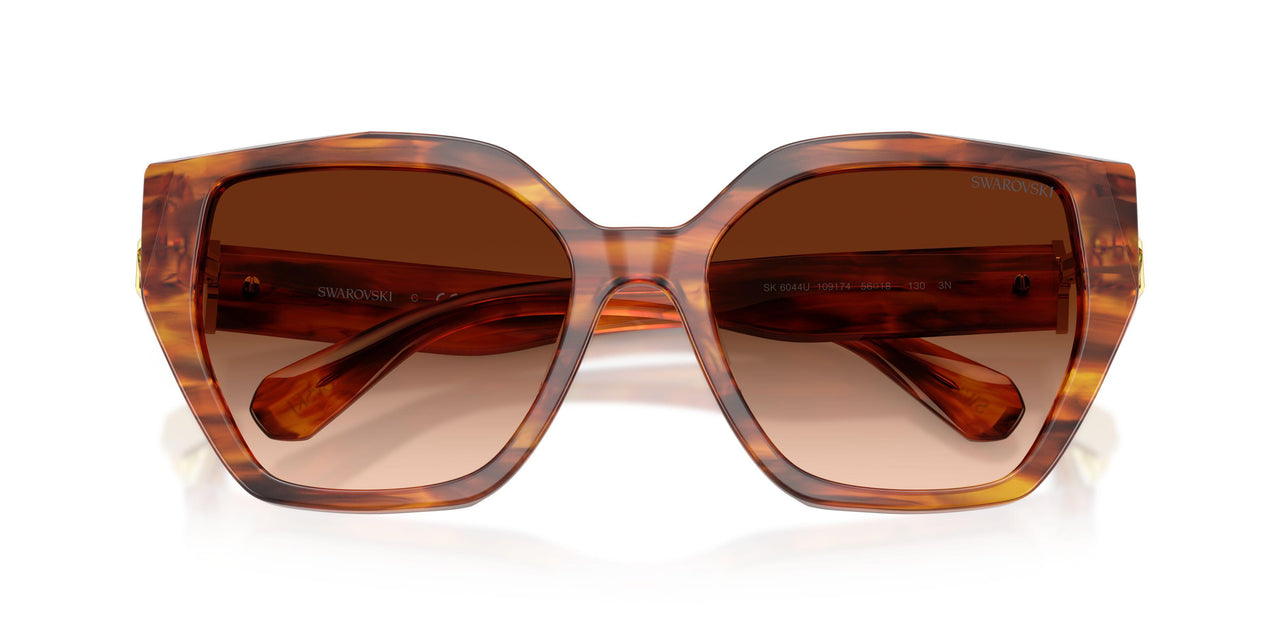 109174 - Tortoise - Brown Gradient
