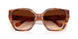 109174 - Tortoise - Brown Gradient