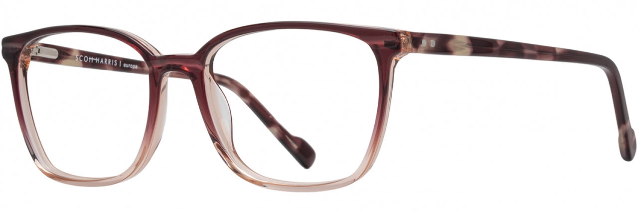 5 - Berry Fade / Berry Tortoise