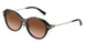80153B - Tortoise - Brown Gradient