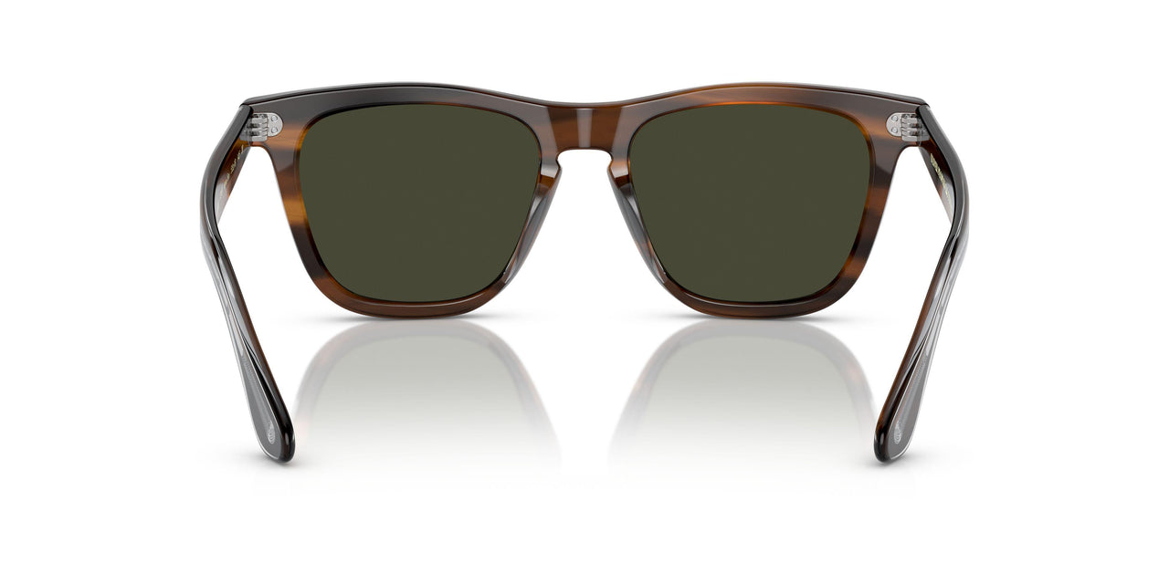 1724P1 - Brown - G-15 Polarized