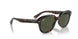 902/31 - Tortoise - Green