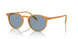 169956 - Brown - Cobalto