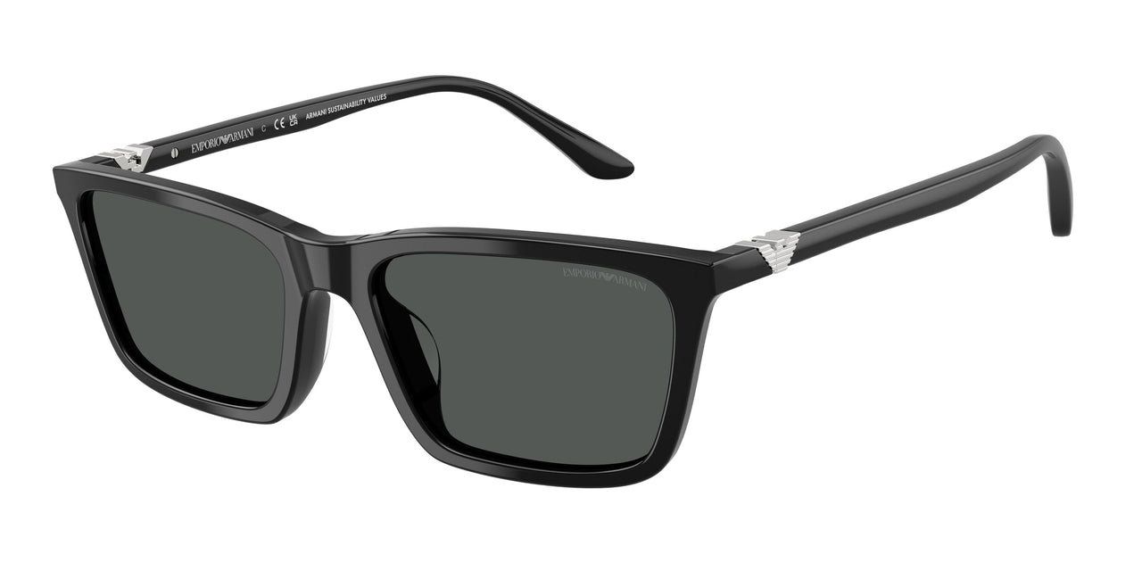 Emporio Armani 4239U Sunglasses