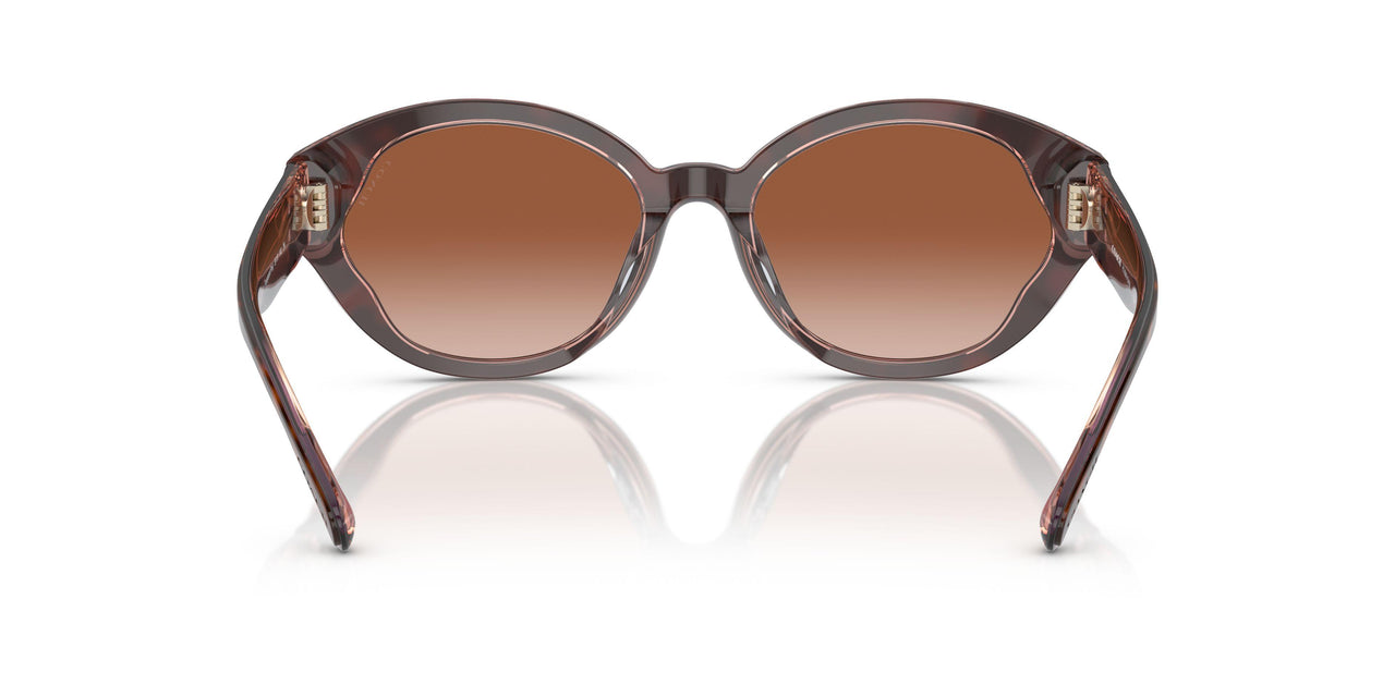 574413 - Tortoise - Brown Pink Gradient