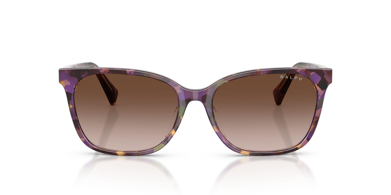 630313 - Tortoise - Gradient Brown