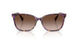 630313 - Tortoise - Gradient Brown