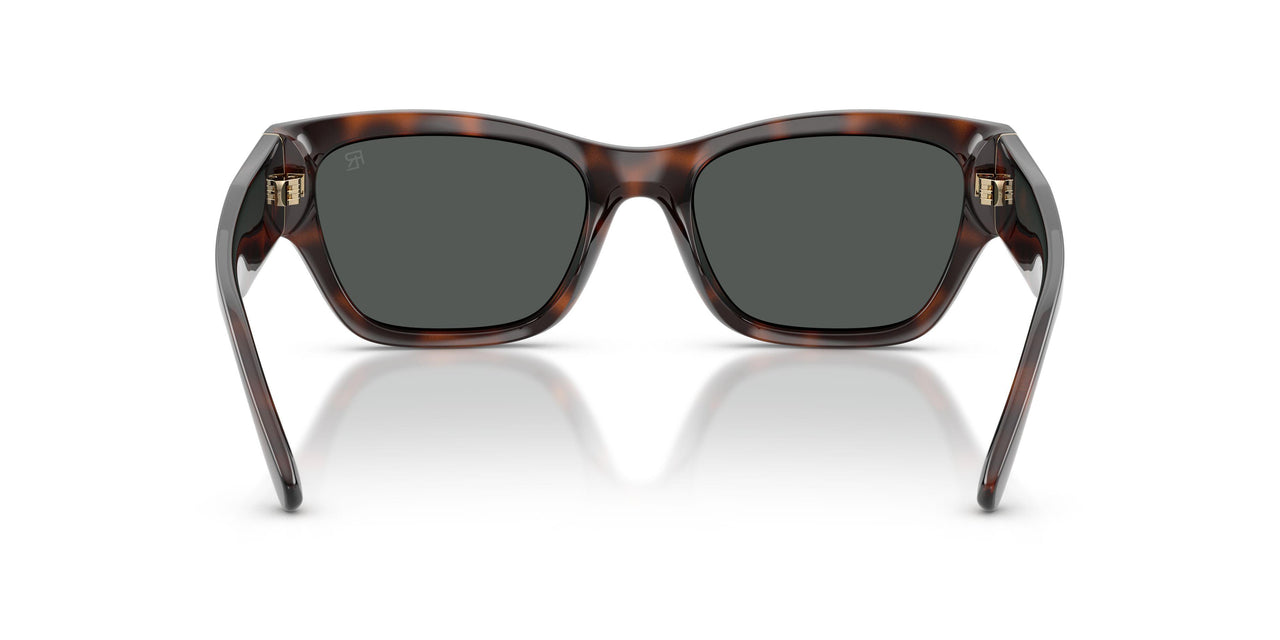 624187 - Tortoise - Grey