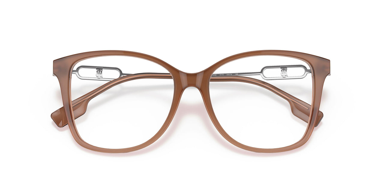 3173 - Brown