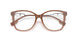 3173 - Brown