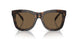 300673 - Tortoise - Dark Brown
