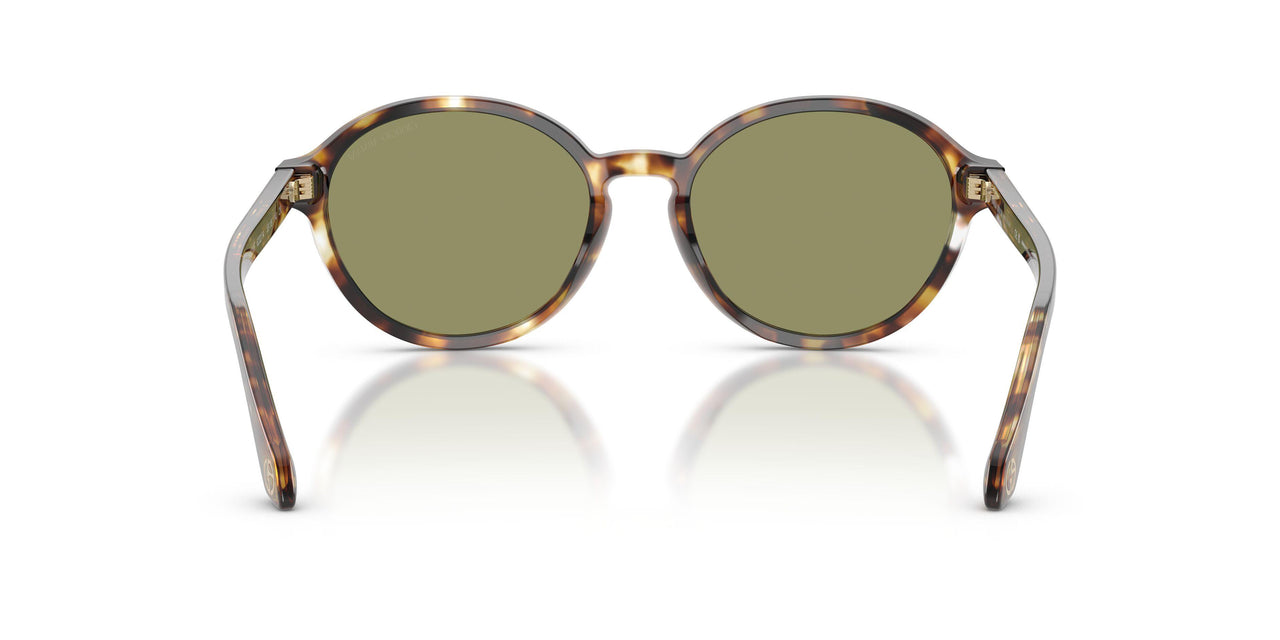 623214 - Tortoise - Green