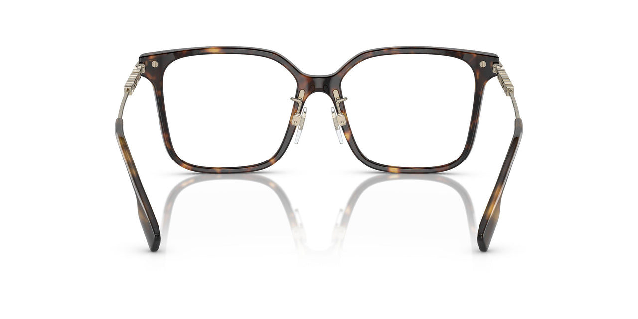3002 - Brown