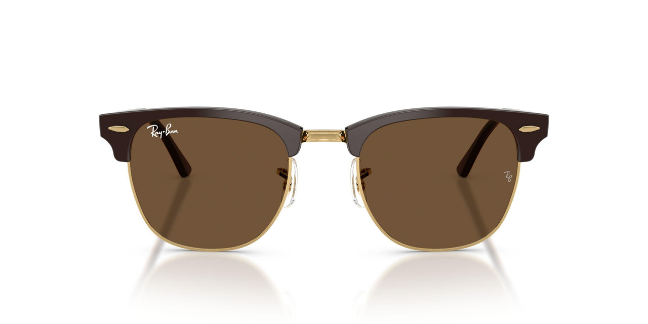 687853 - Brown - Dark Brown