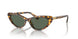 607871 - Tortoise - Dark Green