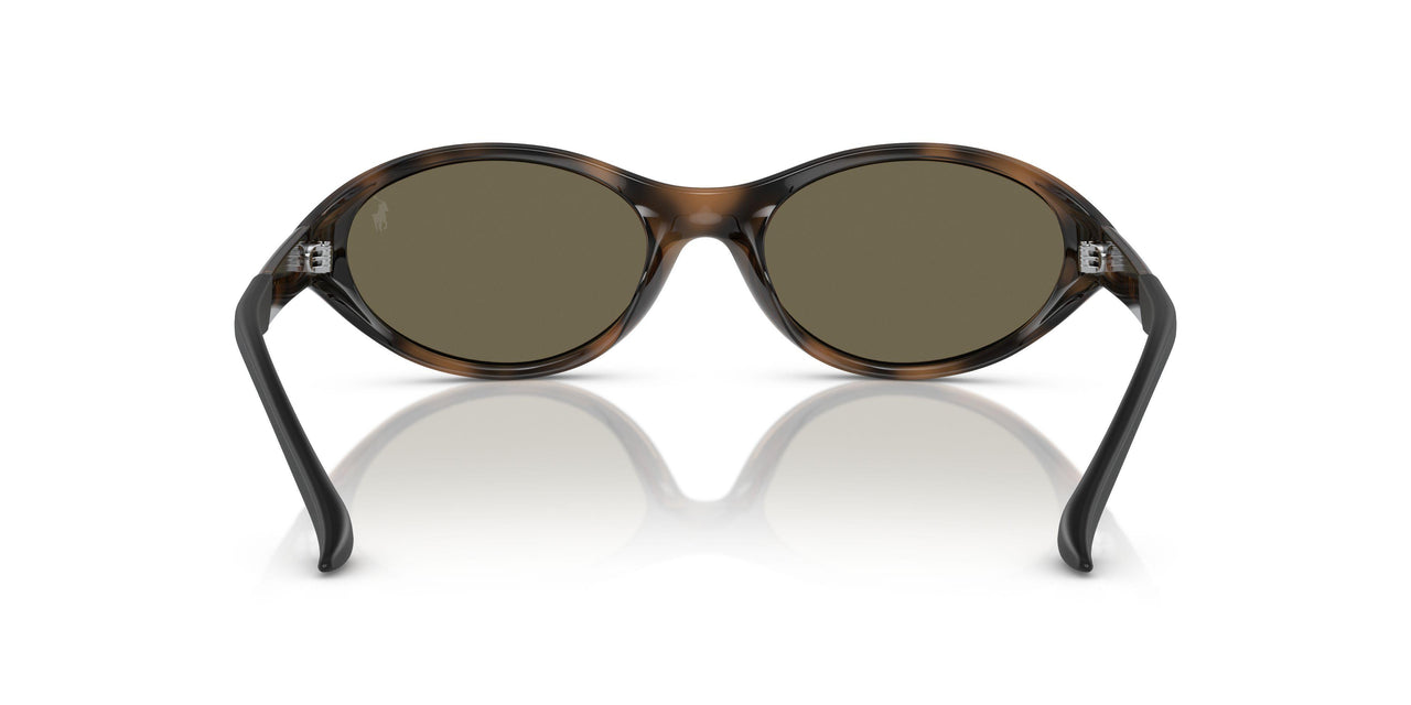 5003/3 - Tortoise - Brown