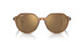 663693 - Brown - Light Brown Mirror Gold