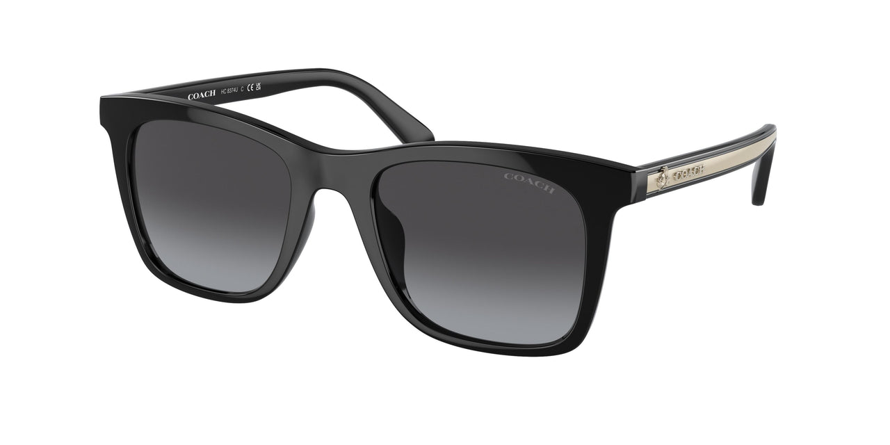 50028G - Black - Grey Gradient