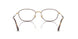 3177 - Tortoise - Clear