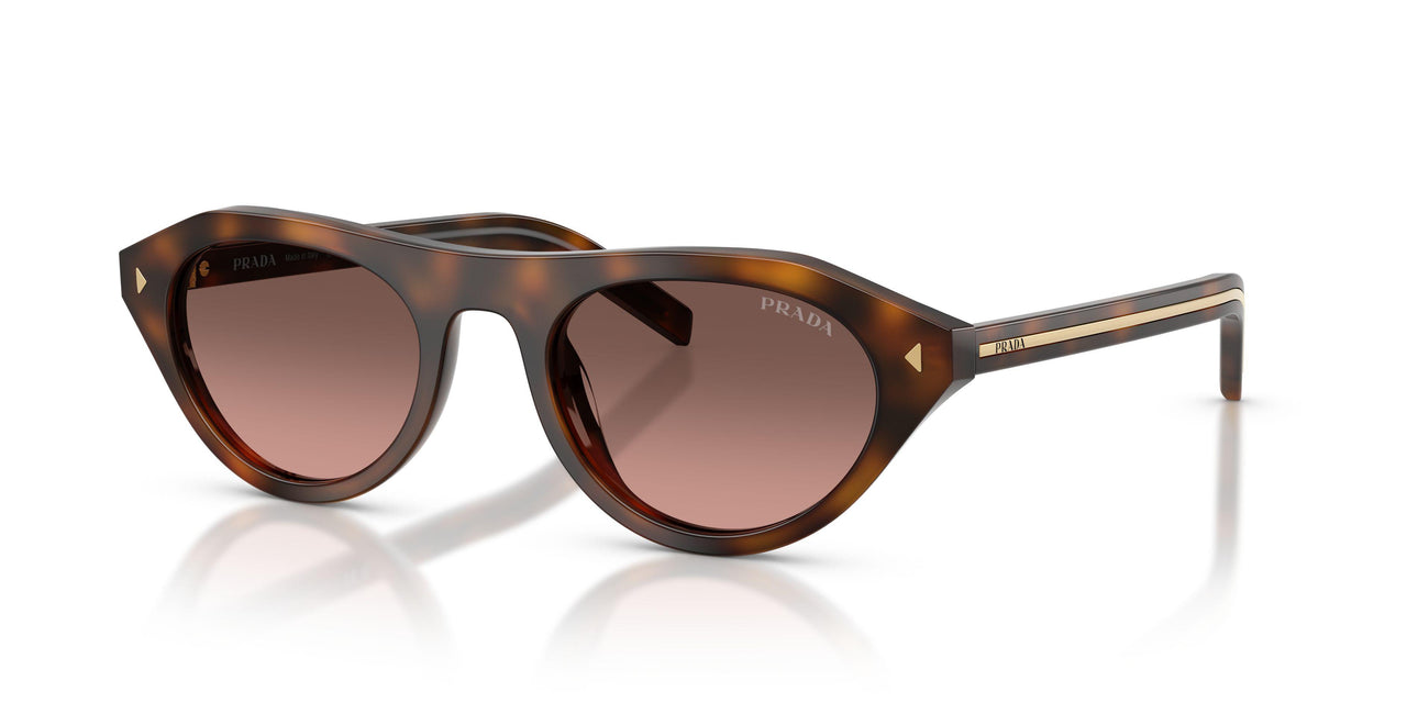 20D11C - Tortoise - Brown Gradient Grey