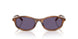 25O70W - Brown - Violet
