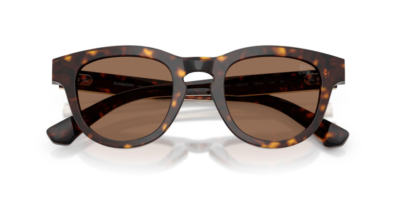 420573 - Brown - Dark Brown