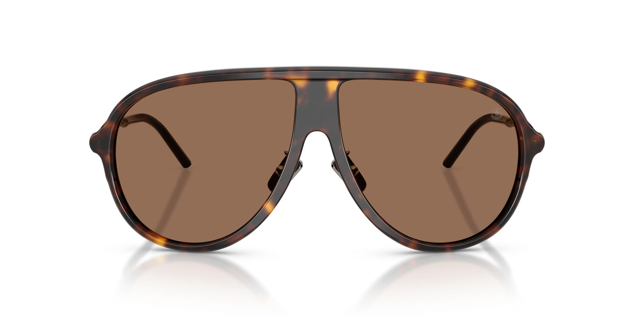 300273 - Tortoise - Brown Solid