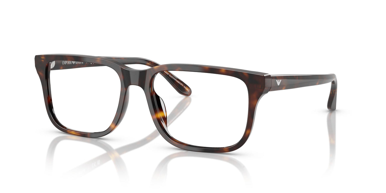 5026 - Tortoise