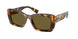 14L09Z - Tortoise - Dark Brown