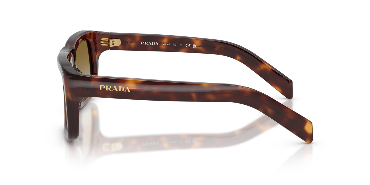 15W20U - Tortoise - Brown Gradient