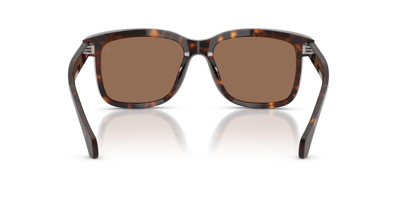 300273 - Tortoise - Brown Solid
