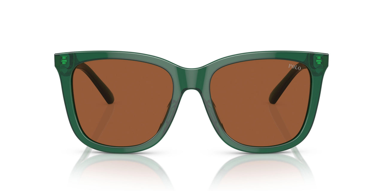 619573 - Green - Brown