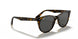 1292B1 - Havana On Trasparent Light Bro - Dark Grey