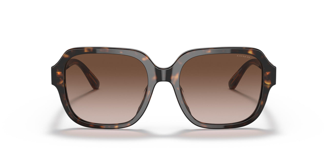 512013 - Havana - Brown Gradient