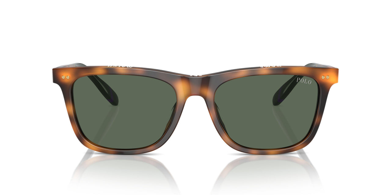 608971 - Red - Dark Green