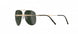 7530 - Gold Black - SLM POL Green