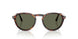 24/58 - Tortoise - Polar Green