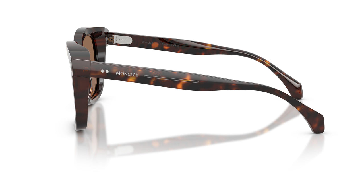 300273 - Tortoise - Brown Solid