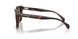 300273 - Tortoise - Brown Solid
