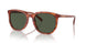 577482 - Tortoise - Green