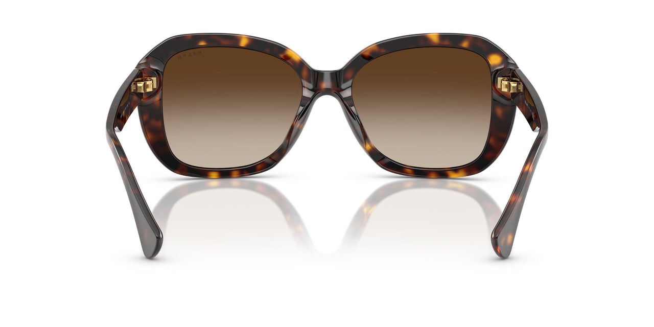 500313 - Brown - Gradient Brown