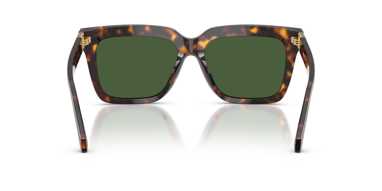 108/71 - Tortoise - Dark Green