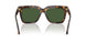 108/71 - Tortoise - Dark Green