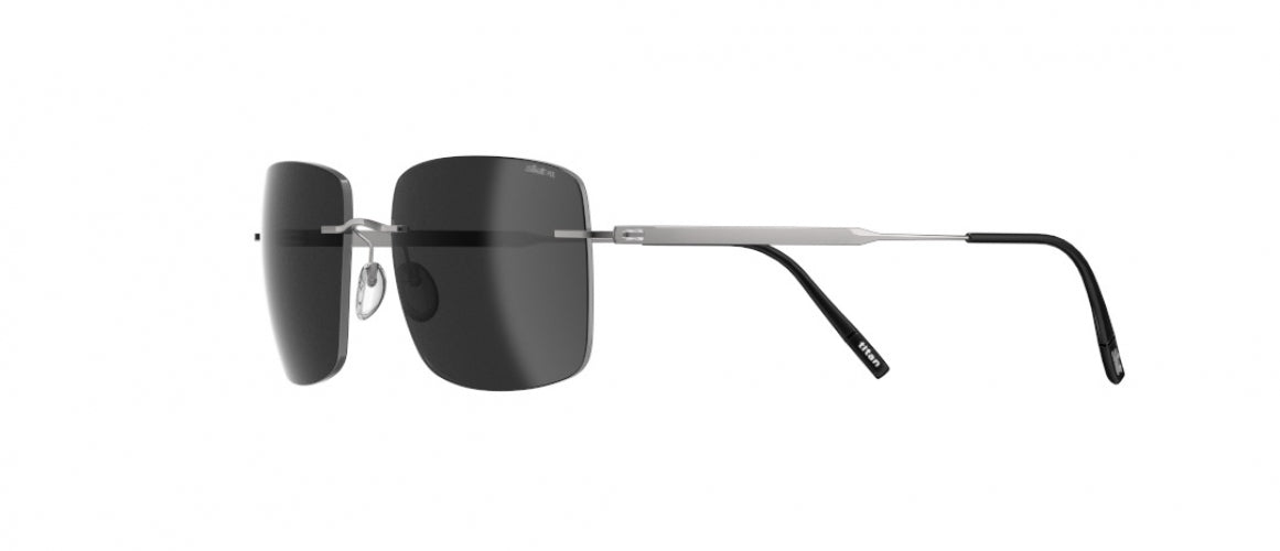 6560 - Ruthenium Black - SLM POL Grey